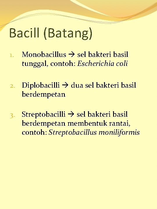 Bacill (Batang) 1. Monobacillus sel bakteri basil tunggal, contoh: Escherichia coli 2. Diplobacilli dua