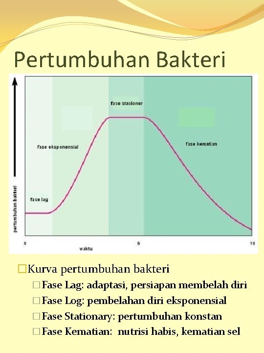 Pertumbuhan Bakteri �Kurva pertumbuhan bakteri �Fase Lag: adaptasi, persiapan membelah diri �Fase Log: pembelahan