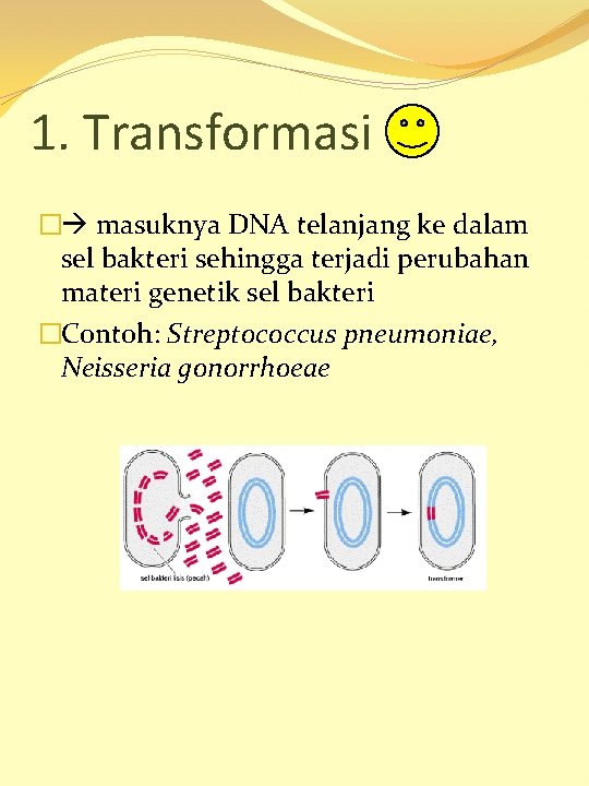 1. Transformasi � masuknya DNA telanjang ke dalam sel bakteri sehingga terjadi perubahan materi