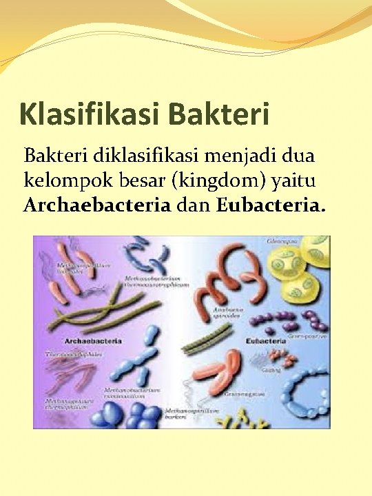 Klasifikasi Bakteri diklasifikasi menjadi dua kelompok besar (kingdom) yaitu Archaebacteria dan Eubacteria. 