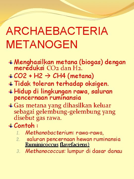 ARCHAEBACTERIA METANOGEN Menghasilkan metana (biogas) dengan mereduksi CO 2 dan H 2. CO 2