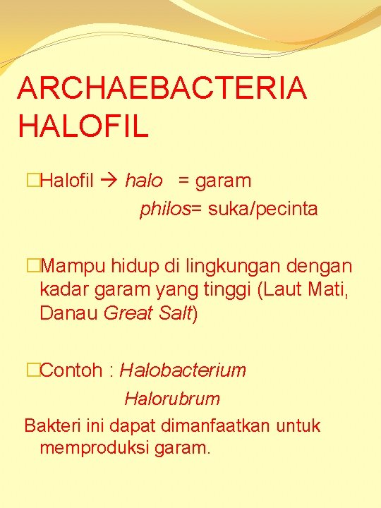 ARCHAEBACTERIA HALOFIL �Halofil halo = garam philos= suka/pecinta �Mampu hidup di lingkungan dengan kadar