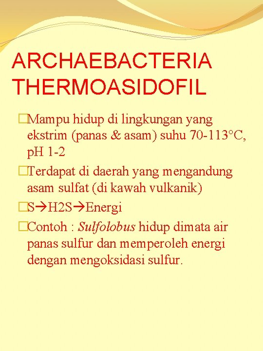 ARCHAEBACTERIA THERMOASIDOFIL �Mampu hidup di lingkungan yang ekstrim (panas & asam) suhu 70 -113°C,