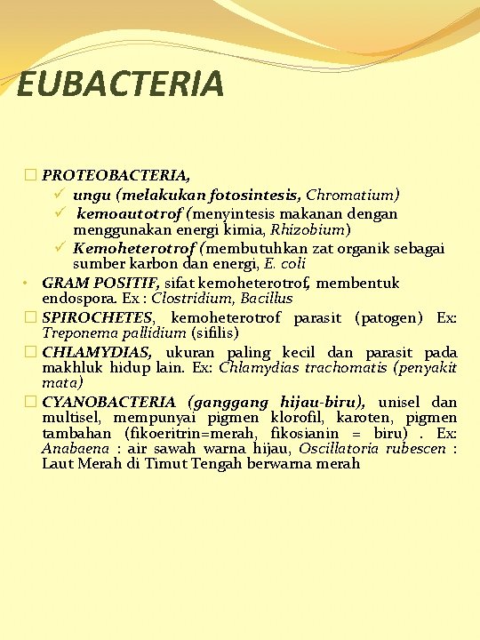 EUBACTERIA � PROTEOBACTERIA, ü ungu (melakukan fotosintesis, Chromatium) ü kemoautotrof (menyintesis makanan dengan menggunakan