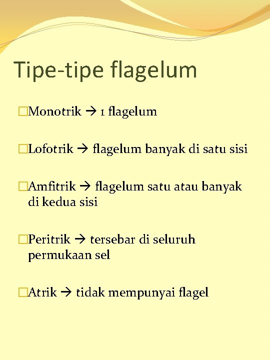 Tipe-tipe flagelum �Monotrik 1 flagelum �Lofotrik flagelum banyak di satu sisi �Amfitrik flagelum satu