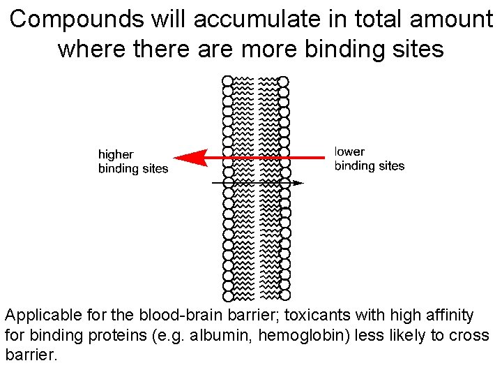 Compounds will accumulate in total amount where there are more binding sites Applicable for