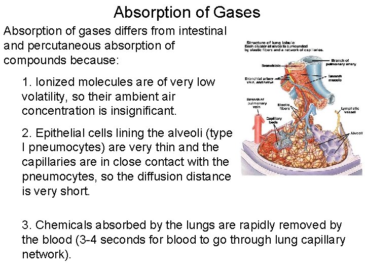 Absorption of Gases Absorption of gases differs from intestinal and percutaneous absorption of compounds