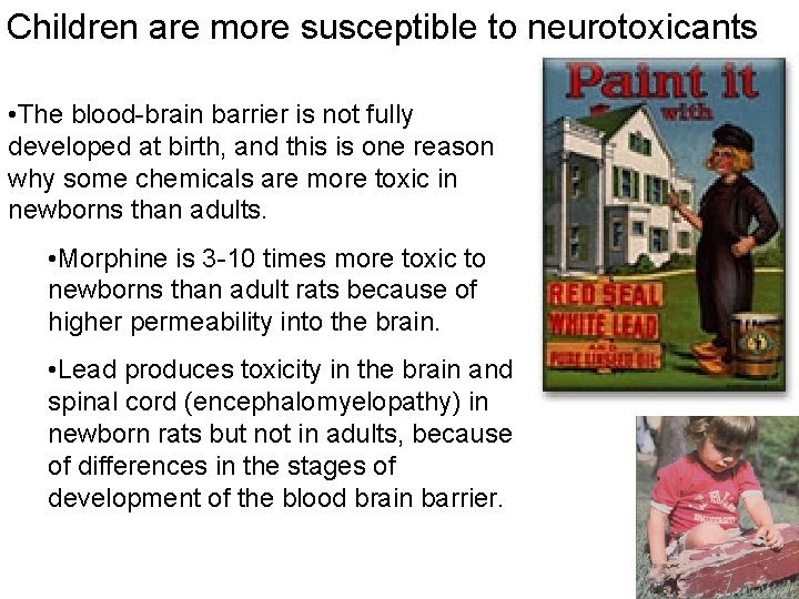 Children are more susceptible to neurotoxicants • The blood-brain barrier is not fully developed