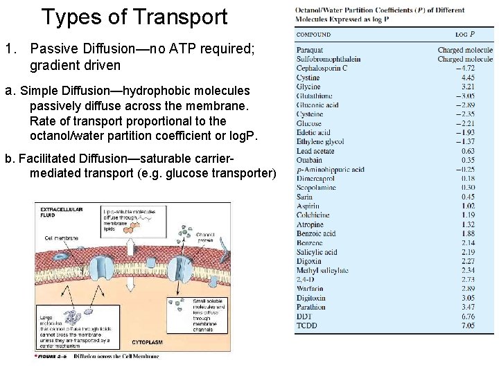 Types of Transport 1. Passive Diffusion—no ATP required; gradient driven a. Simple Diffusion—hydrophobic molecules