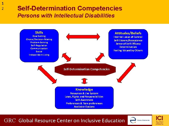 1 2 Self-Determination Competencies Persons with Intellectual Disabilities Skills Attitudes/Beliefs Goal Setting Choice/Decision-Making Problem-Solving 1 2 Self-Determination Competencies Persons with Intellectual Disabilities Skills Attitudes/Beliefs Goal Setting Choice/Decision-Making Problem-Solving