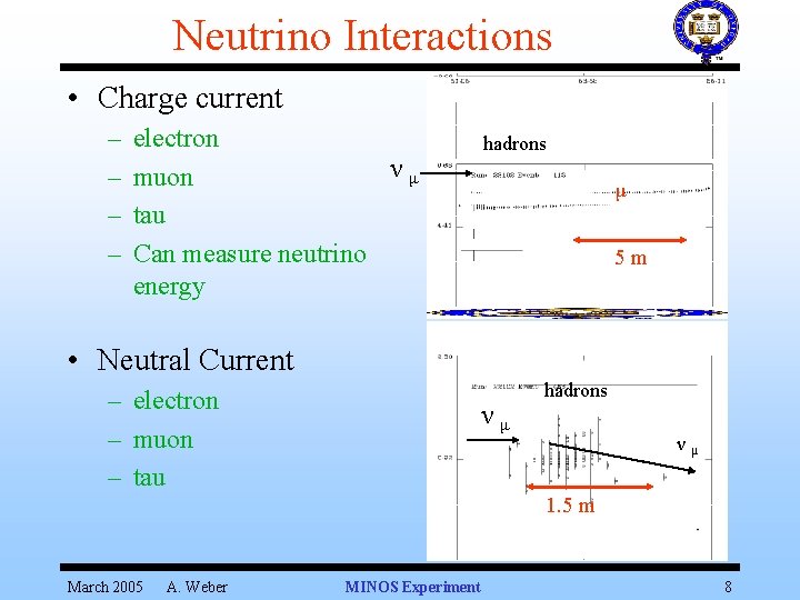 Neutrino Interactions • Charge current – – electron νμ muon tau Can measure neutrino