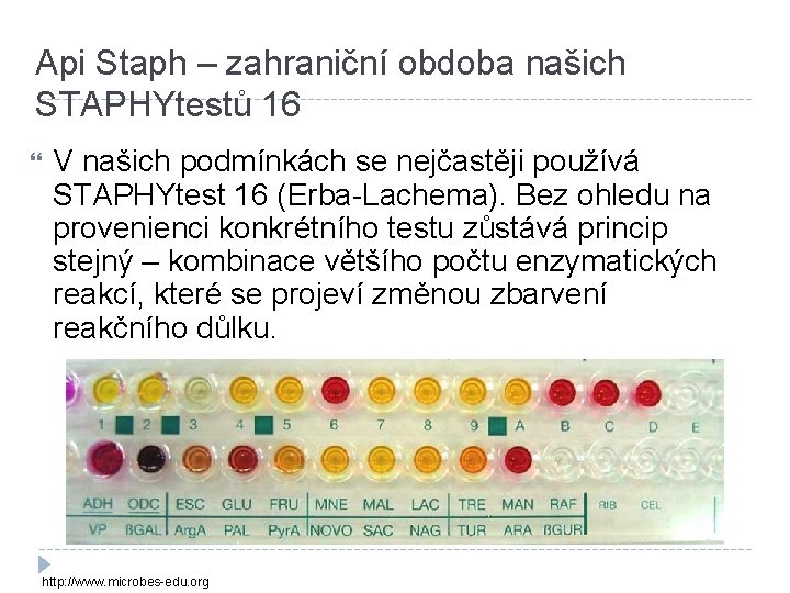 Api Staph – zahraniční obdoba našich STAPHYtestů 16 V našich podmínkách se nejčastěji používá