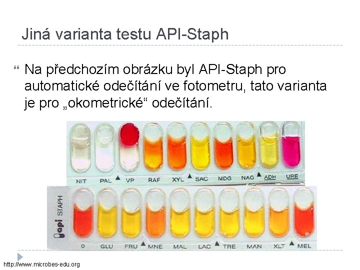 Jiná varianta testu API-Staph Na předchozím obrázku byl API-Staph pro automatické odečítání ve fotometru,