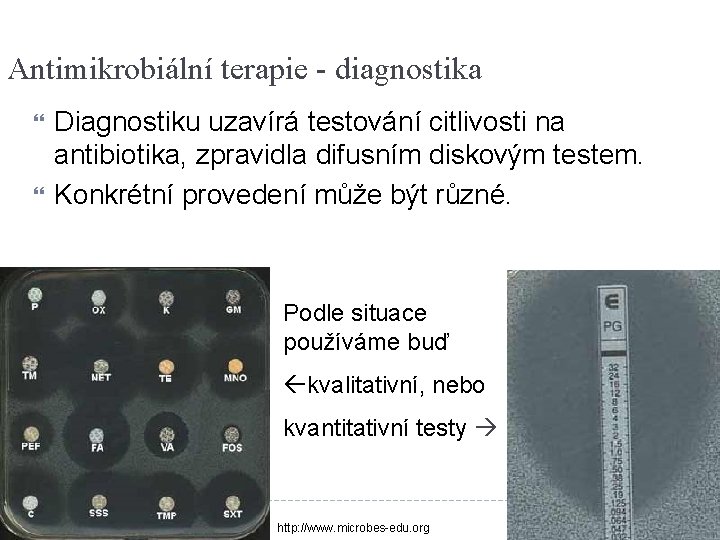 Antimikrobiální terapie - diagnostika Diagnostiku uzavírá testování citlivosti na antibiotika, zpravidla difusním diskovým testem.