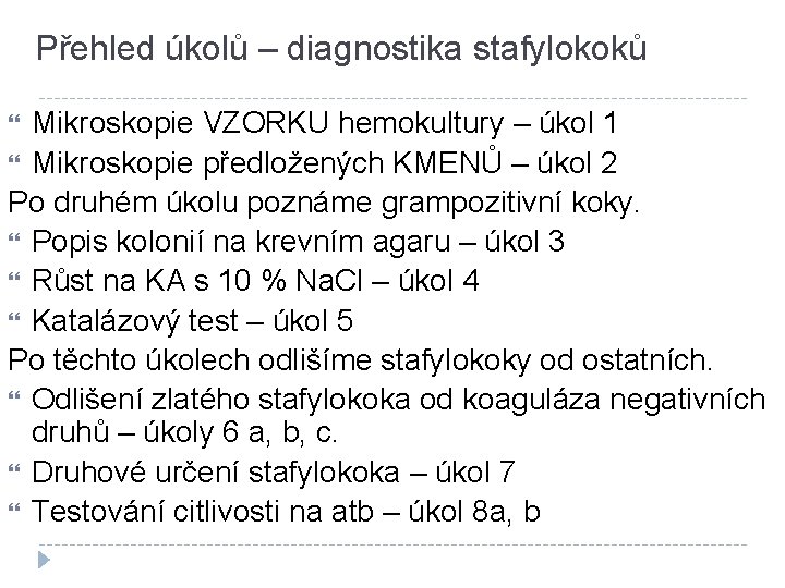 Přehled úkolů – diagnostika stafylokoků Mikroskopie VZORKU hemokultury – úkol 1 Mikroskopie předložených KMENŮ