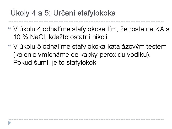 Úkoly 4 a 5: Určení stafylokoka V úkolu 4 odhalíme stafylokoka tím, že roste