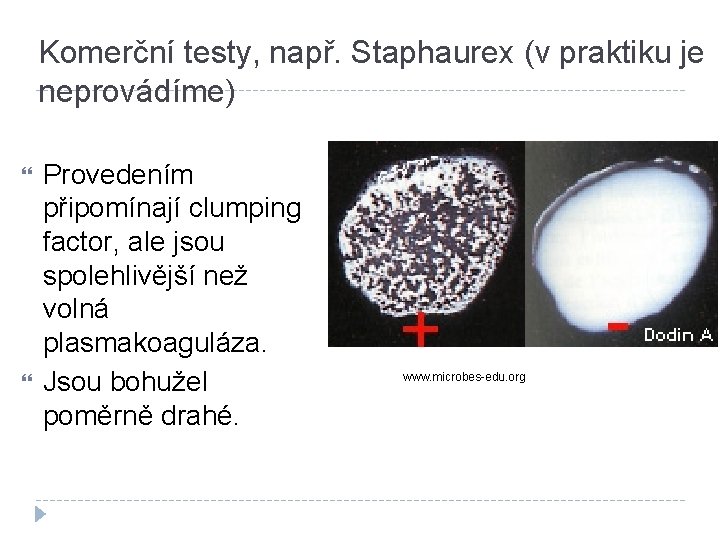 Komerční testy, např. Staphaurex (v praktiku je neprovádíme) Provedením připomínají clumping factor, ale jsou