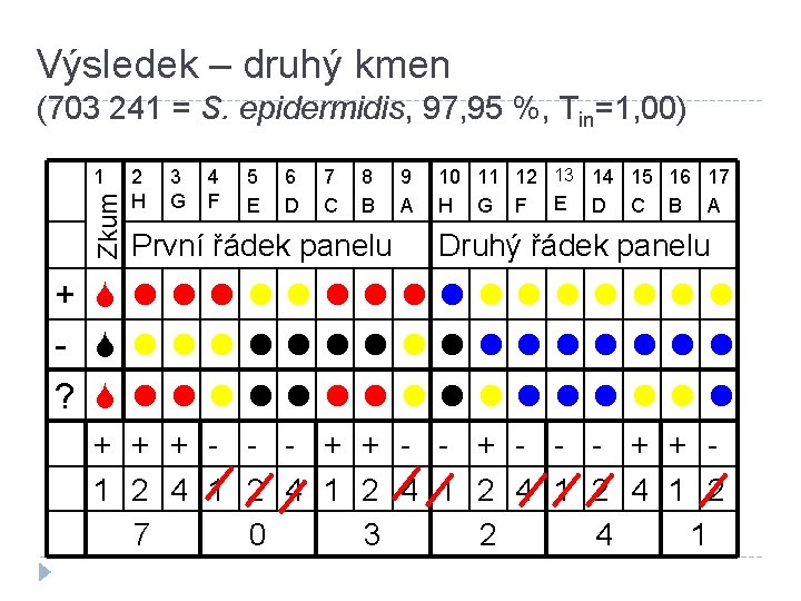 Výsledek – druhý kmen (703 241 = S. epidermidis, 97, 95 %, Tin=1, 00)