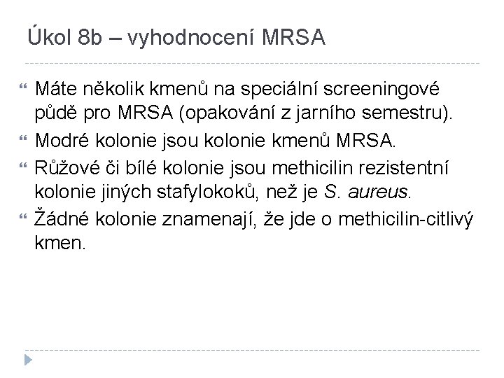 Úkol 8 b – vyhodnocení MRSA Máte několik kmenů na speciální screeningové půdě pro