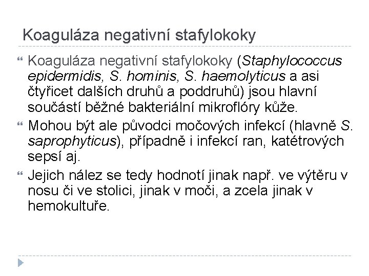 Koaguláza negativní stafylokoky Koaguláza negativní stafylokoky (Staphylococcus epidermidis, S. hominis, S. haemolyticus a asi