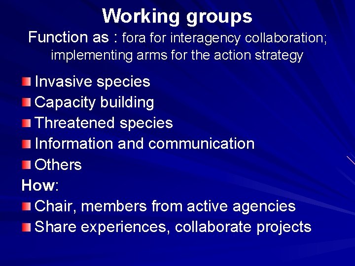 Working groups Function as : fora for interagency collaboration; implementing arms for the action