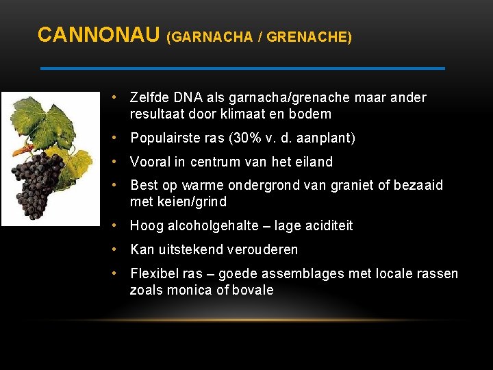 CANNONAU (GARNACHA / GRENACHE) • Zelfde DNA als garnacha/grenache maar ander resultaat door klimaat