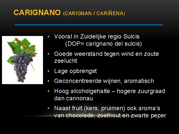 CARIGNANO (CARIGNAN / CARIÑENA) • Vooral in Zuidelijke regio Sulcis (DOP= carignano del sulcis)