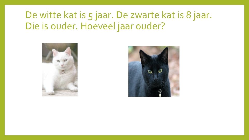 De witte kat is 5 jaar. De zwarte kat is 8 jaar. Die is