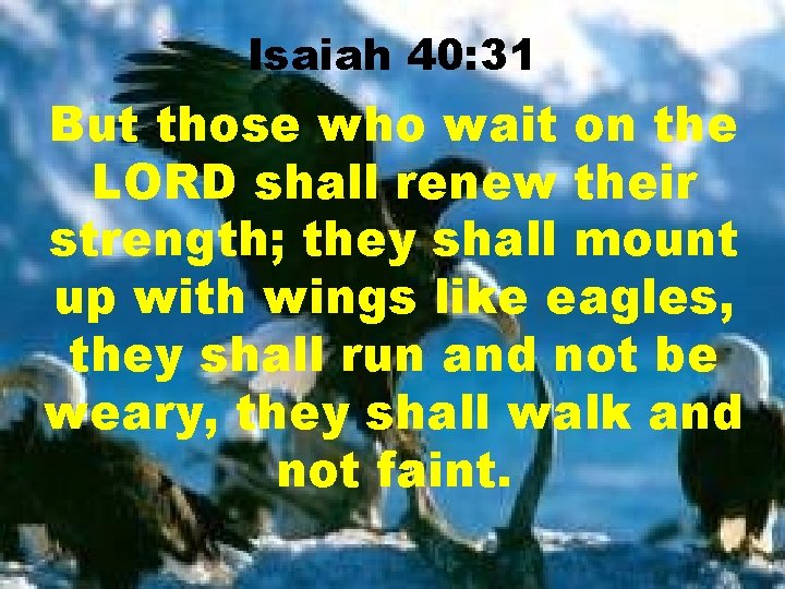 Isaiah 40: 31 But those who wait on the LORD shall renew their strength;