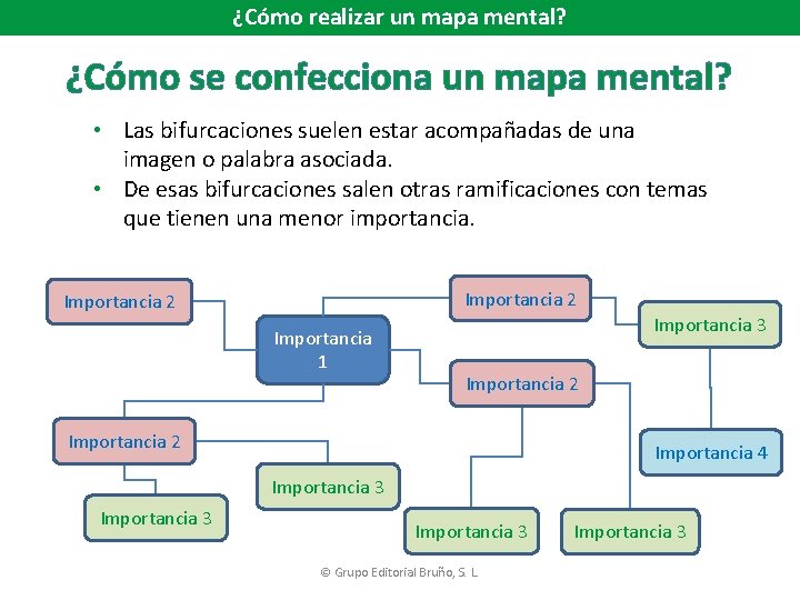 ¿Cómo realizar un mapa mental? ¿Cómo se confecciona un mapa mental? • Las bifurcaciones