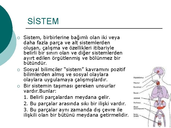 SİSTEM ¡ ¡ ¡ Sistem, birbirlerine bağımlı olan iki veya daha fazla parça ve