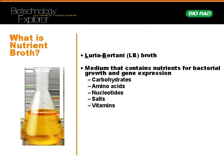 What is Nutrient Broth? • Luria-Bertani (LB) broth • Medium that contains nutrients for