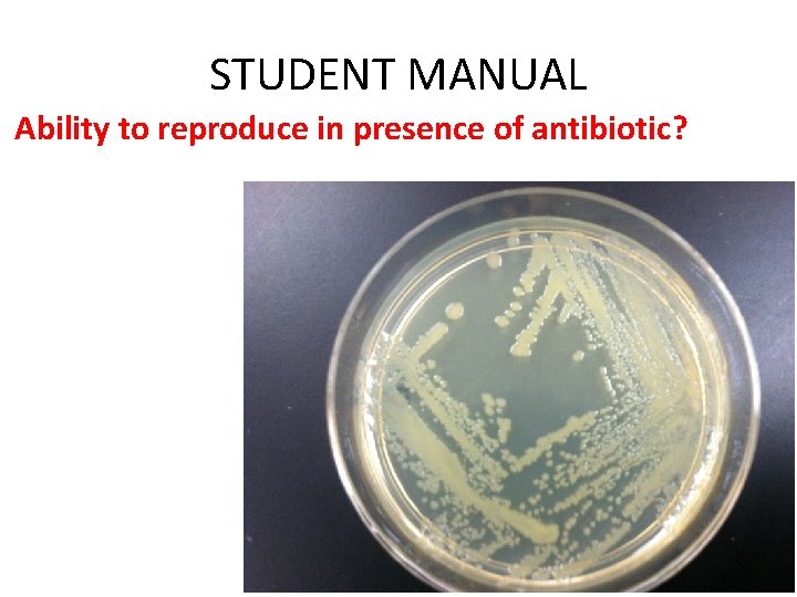 STUDENT MANUAL Ability to reproduce in presence of antibiotic? 