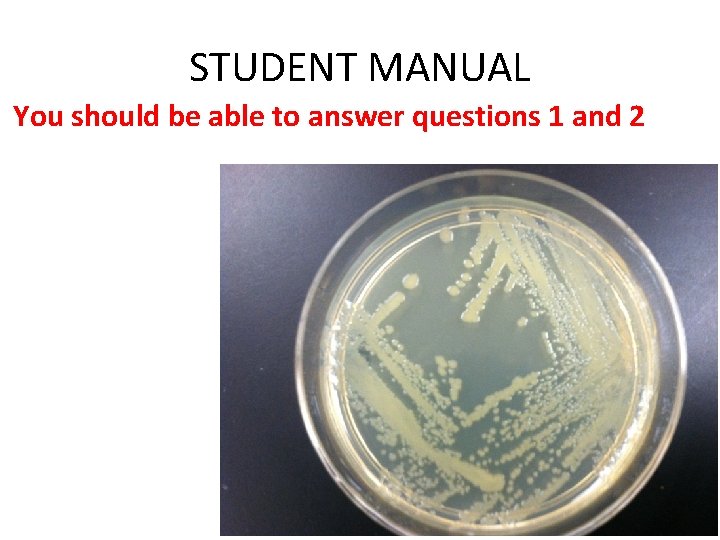 STUDENT MANUAL You should be able to answer questions 1 and 2 