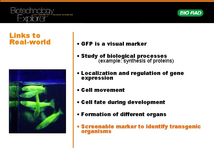 Links to Real-world • GFP is a visual marker • Study of biological processes