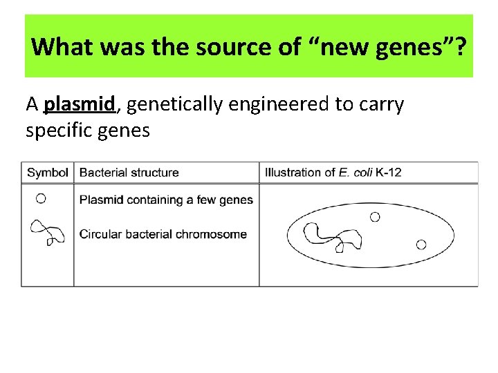 What was the source of “new genes”? A plasmid, genetically engineered to carry specific
