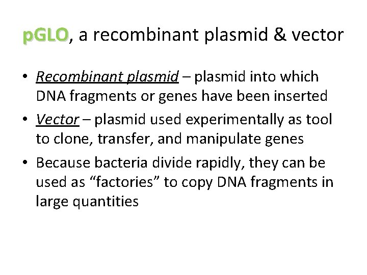 p. GLO, p. GLO a recombinant plasmid & vector • Recombinant plasmid – plasmid