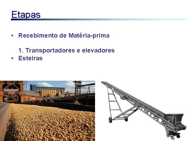 Etapas • Recebimento de Matéria-prima 1. Transportadores e elevadores • Esteiras 