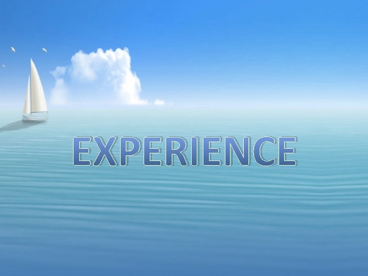 EXPERIENCE 