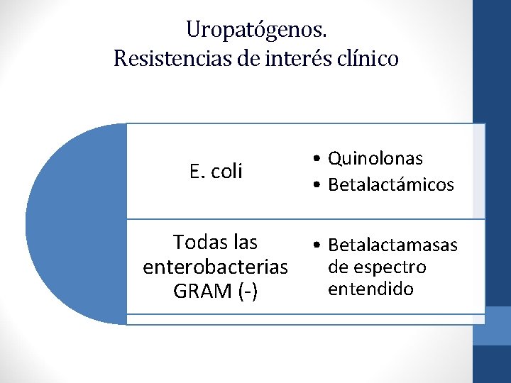 Uropatógenos. Resistencias de interés clínico E. coli • Quinolonas • Betalactámicos Todas las enterobacterias