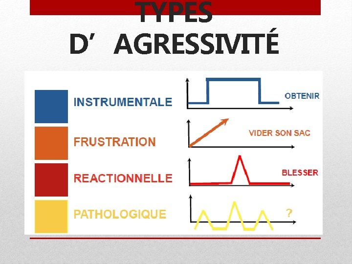 TYPES D’AGRESSIVITÉ 