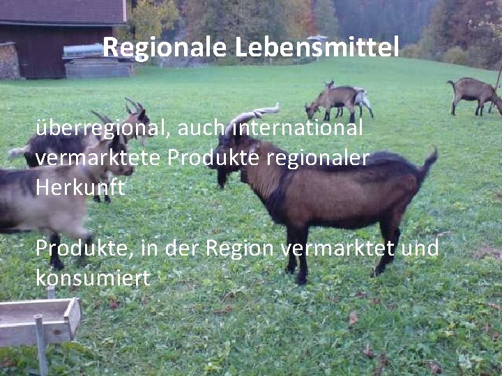 Regionale Lebensmittel überregional, auch international vermarktete Produkte regionaler Herkunft Produkte, in der Region vermarktet