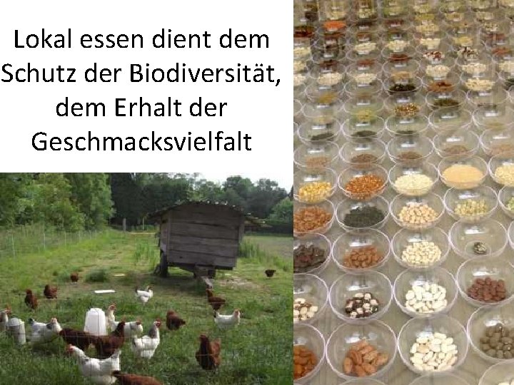 Lokal essen dient dem Schutz der Biodiversität, dem Erhalt der Geschmacksvielfalt 