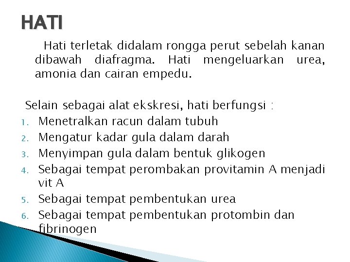 HATI Hati terletak didalam rongga perut sebelah kanan dibawah diafragma. Hati mengeluarkan urea, amonia