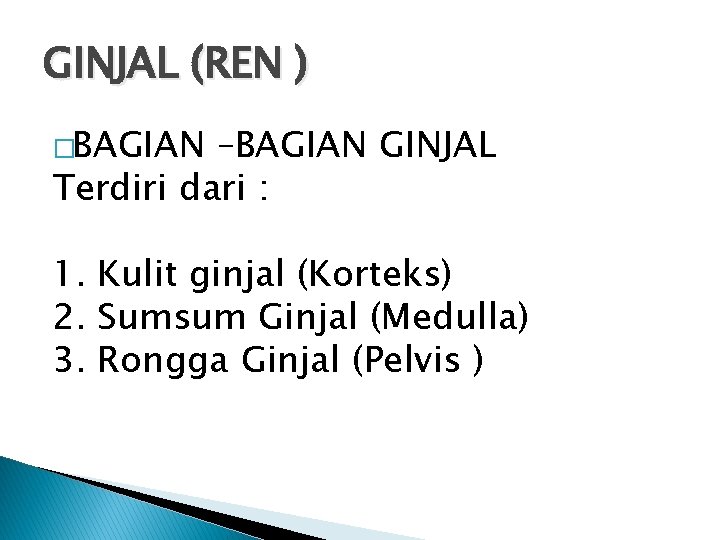 GINJAL (REN ) �BAGIAN –BAGIAN GINJAL Terdiri dari : 1. Kulit ginjal (Korteks) 2.