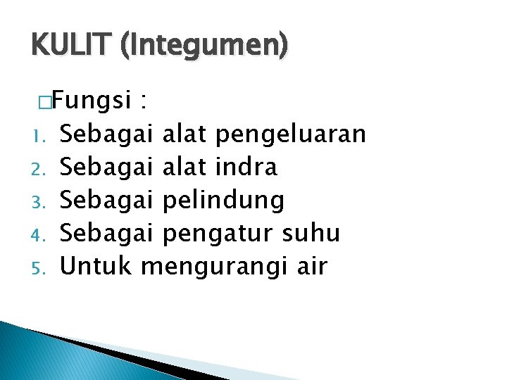 KULIT (Integumen) �Fungsi 1. 2. 3. 4. 5. : Sebagai alat pengeluaran Sebagai alat