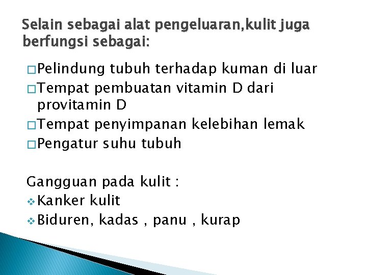 Selain sebagai alat pengeluaran, kulit juga berfungsi sebagai: � Pelindung tubuh terhadap kuman di