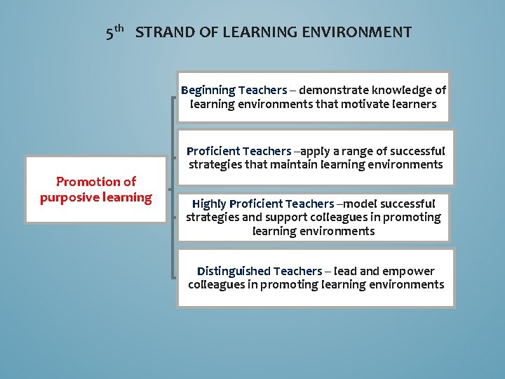 5 th STRAND OF LEARNING ENVIRONMENT Beginning Teachers – demonstrate knowledge of learning environments