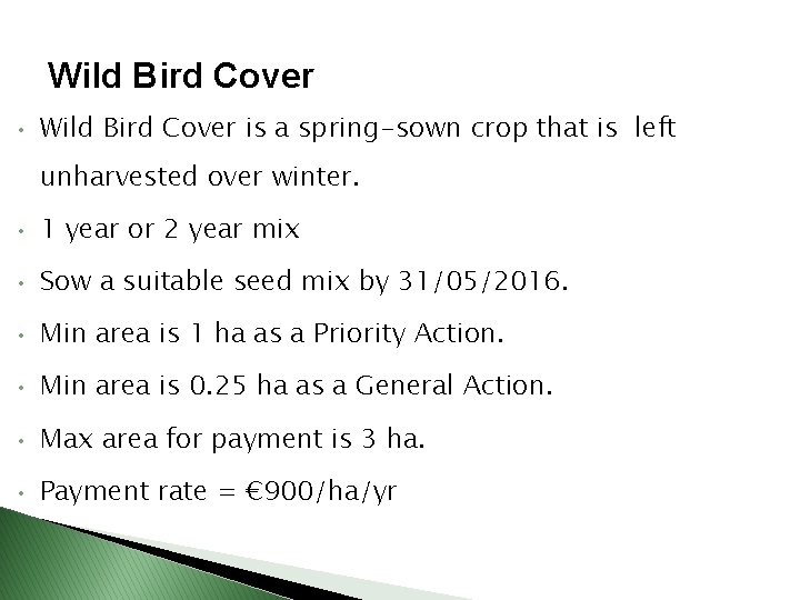 Wild Bird Cover • Wild Bird Cover is a spring-sown crop that is left