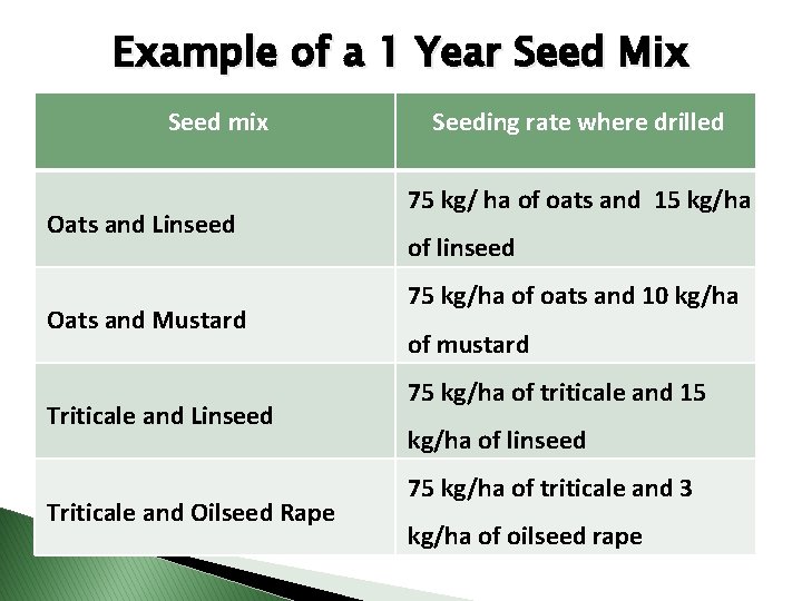 Example of a 1 Year Seed Mix Seed mix Oats and Linseed Oats and